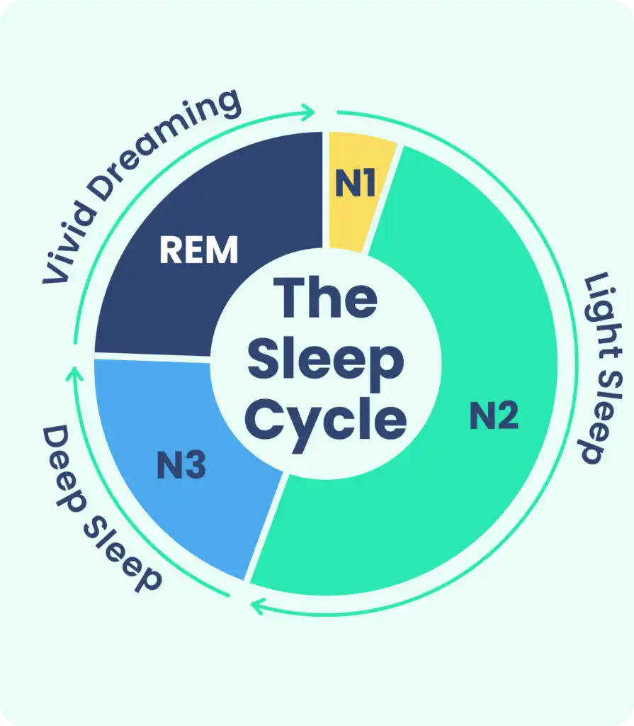 Weekly sleep consistency chart showing rhythm levels across seven days